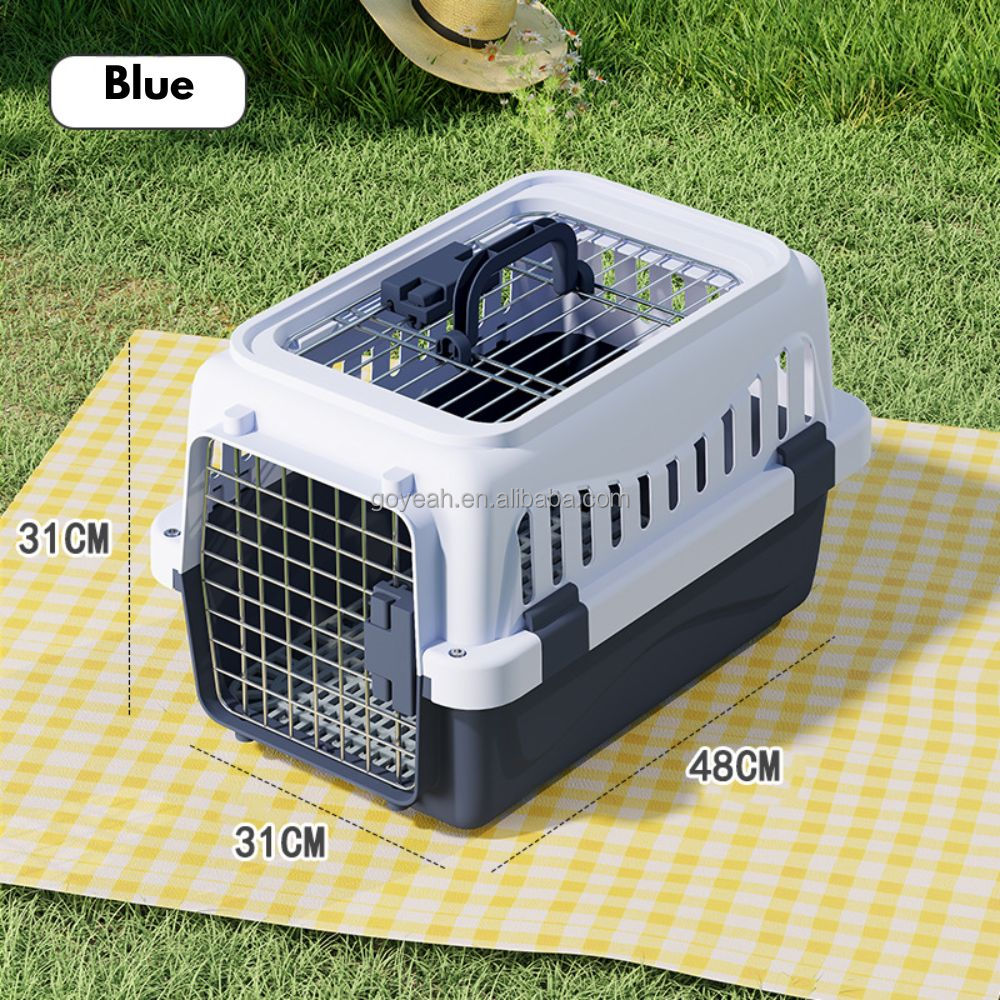 Blue (Small)