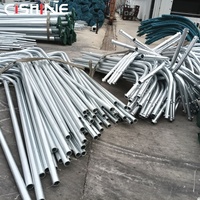 Poste de Luz de Acero Galvanizado en Caliente Cishine para Exteriores, de 8m y 9m, con Brazo Curvo Simple o Doble, Precio de Poste para Alumbrado Público en Carreteras y Autopistas