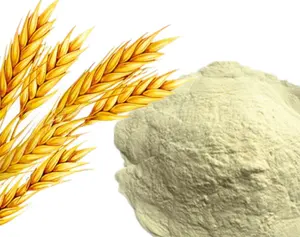 Di alta qualità di Grano oligopeptide farina di grano proteina peptide