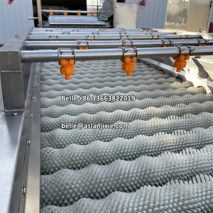 เครื่องทำความสะอาดแปรงทรงหอยเชลล์เครื่องทำความสะอาดแปรงมันฝรั่งชนิดสเปรย์เครื่องล้างมะเขือเทศ - Product Image 4