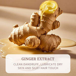 OEM Repair Damaged Hair Nutritive Moist urizer Anti-Juckreiz Anti-Schuppen verhindert Haarausfall Ingwer Essenz <span class=keywords><strong>Shampoo</strong></span> - Product Image 6