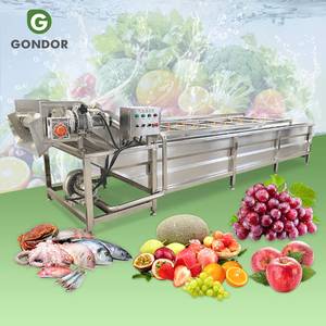 Machine de lavage à bulles industrielle pour avocats, poivrons, mangues, fruits, laitues vertes, piments et légumes, et pour le nettoyage des aliments - Product Image 1