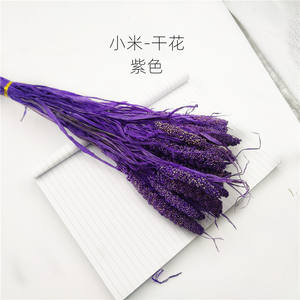 Airgris-appareil de teinture en l'air naturel de style pastoral bohémien, avec suspendre, fleurs séchées, pour décor, E07153 - Product Image 5