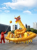 Costume chinois dragon de danse chinois costume de dragon chinois lion de danse et danse du dragon.