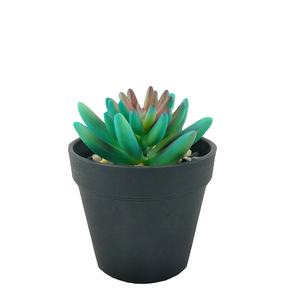 fine simulation succulent lake green small fresh style visual