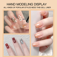 Bellinails OEM/ODM 24 couleurs Gel Liner UV peinture araignée ligne Gel Liner ensemble Nail Art vernis Kit Disco Gel Liner