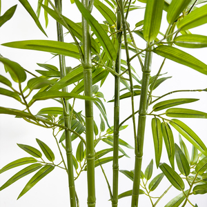 Wholesale 150cm Plastic Artificial Bamboo <strong>Bonsai</strong> Tree-Modern Design Realistic Indoor Home &amp; Office Decoration - Product Image 2