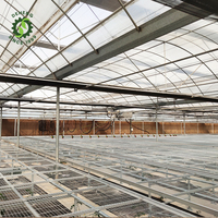Système de culture de serre à film intelligent pour la culture de laitue et de légumes Système d'utilisation Hydroponique Strawberry Goutter Greenhouse