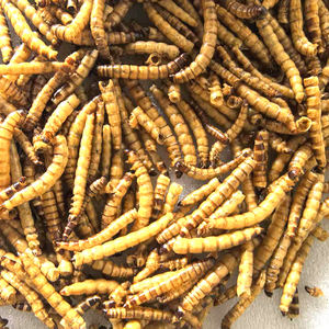 התולעת המולעת תולעת על עוף עוף ברווז עם חלבון גבוה - Product Image 2