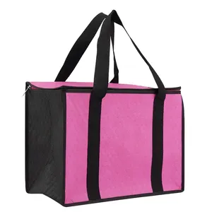 Eco-Friendly reusable nonwoven insulated cooler bag frozen-food storage bag with handles and zipper