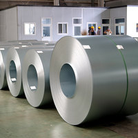 Bobine d'acier galvanisé à chaud prix usine, revêtement Z61-Z80, épaisseur 0,12-0,2 mm, largeur 1000 mm, tôles industrielles prédécoupées
