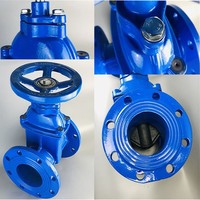 Vanne à opercule souple à tige non montante Z45X-16Q PN16 certifiée ISO9001 et CE, à brides, pour conduites d'eau et d'égouts