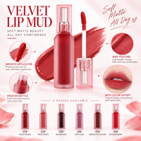 Teinte à lèvres veloutée longue tenue RTS 4ml, effet mat, 6 teintes, faible MOQ 2 pièces, vente en gros, logo personnalisé