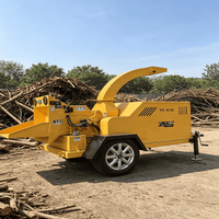 Broyeur à bois diesel compact de 300 mm avec moteur refroidi par eau pour une utilisation prolongée
