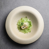 Steengoed servies soepbord salade fruit dessert schaal keramiek voorgerecht diep bord retro sushi sashimi bord voor restaurant