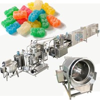 SUS316 a fabriqué une machine de revêtement automatique continue pour l'huile de sucre pour la ponceuse à bonbons gommeux
