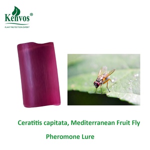 Atrayente de Feromonas para Medfly (Ceratitis Capitata) |   Atrayente de Alta Eficiencia para Moscas de la Fruta, para Monitoreo y Control de Plagas en Huertos - Product Image 1