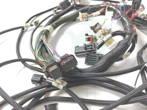 558-108 EFI Harness utama untuk 99-04 2V 4 katup Ford Modular 4.6 L 5,4l - Product Image 3