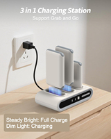 Station de charge portable 10000mAh 15W, station de charge multi-ports USB-C, prise universelle pour les appareils de banque d'alimentation, utilisation intérieure/extérieure
