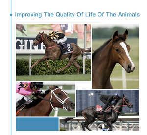 하이 퀄리티 휴대용 스마트 Tecar 모노폴 rf 무선 주파수 렛 물리 치료 기계 판매 - Product Image 6