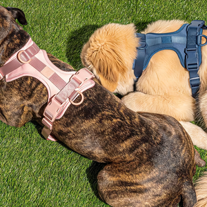 Clip avant en PVC de luxe personnalisé sans traction harnais de promenade pour <span class=keywords><strong>chien</strong></span> de compagnie réfléchissant facile à rembourré doux sans traction avec laisse - Product Image 5