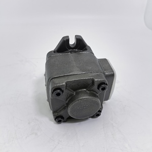 Pompe à engrenages interne CPO-16-P-10R CP0 HG0 CP1 CP2 CPO HG1 HG2 Pompe à huile hydraulique haute pression CP1-25-P-10R-36 Série CPO CP1 CP - Product Image 6