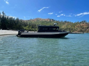 <span class=keywords><strong>Bateau</strong></span> à moteur en Aluminium de 9m de 30 pieds, <span class=keywords><strong>bateau</strong></span> de pêche pour les eaux côtière - Product Image 5