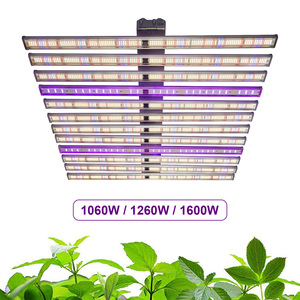 ไฟปลูกต้นไม้ Samsung LM301H EVO LED 1000W สเปกตรัมเต็ม UV IR สีแดง สีน้ำเงิน สำหรับปลูกพืชในร่ม ฟาร์มแนวตั้ง ระบบไฮโดรโปนิกส์ และเรือนกระจก - Product Image 3