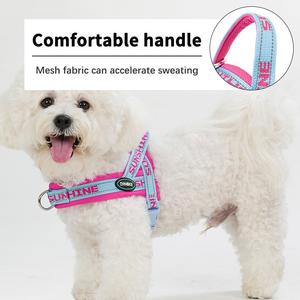Hondenriem vest-stijl borsttuig voor honden, voor kleine en middelgrote honden, met ketting. - Product Image 6