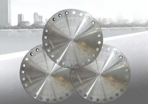 หน้าแปลนไทเทเนียมอัลลอยด์ยี่ห้อ QD ความแม่นยำสูง ผ่านการเคลือบผิว RF น้ำหนักเบา ทนต่อการกัดกร่อน รุ่น 1/2"-80"DN15-DN2000 สำหรับ - Product Image 2