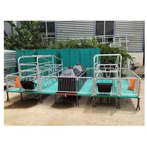Cama de Parto <span class=keywords><strong>Aow</strong></span>, Equipo para Granjas Porcinas, Jaula de Crecimiento para Lechones, Equipo para Cría de Cerdos - Product Image 4