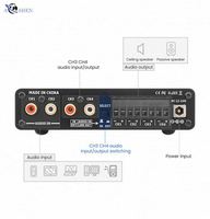 Fabrika OEM M1 50Wx4 4-8Ohm 4 Kanallı TPA3116D2 HiFi Amfi BT 5.0 98dB SNR Altın Kaplama Terminaller DC12-24V Ev Sinema Sistemi