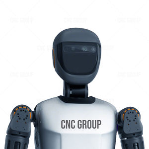 Un Robot umanoide che cammina autonomamente, interagisce con la voce e fornisce una guida posizionale per addestramento ed esperimenti. - Product Image 6