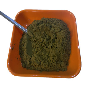 유기농 차가 버섯 다당류 추출 분말 15% 차가 다당류 추출 - Product Image 1