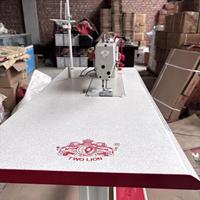 Machine à coudre industrielle Two Lion pour la fabrication de vêtements : machine à point noué à entraînement direct, motorisée et contrôlée par ordinateur
