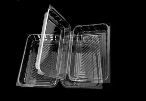 Caja transparente desechable de plástico con bisagras para mascotas