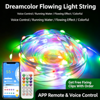 Ruban LED adressable USB RGBIC contrôlé par application, avec télécommande, effet d'eau courante, lumière d'ambiance pour jeux, pleine couleur