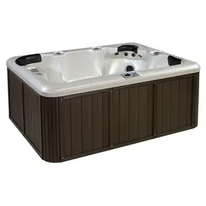 Baignoire chauffante en acrylique, série pour massage, petit jacuzzi à chaud