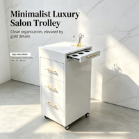 Armoire de rangement mobile pour salon avec plusieurs tiroirs, chariot à roulettes pour outils de coiffure, unité d'organisation pour salon de coiffure et de beauté