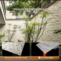 Panneau de placage en pierre de Dacite flexible, pierre souple étoile-lune pour mur décoratif