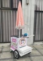 Chariot de présentation de glaces et bâtonnets glacés à refroidissement direct, électrique/à batterie, double tension 110V/220V, 2 roues, antirouille