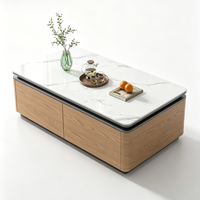 Table basse moderne en pierre frittée avec armoire à grain de bois, 2 portes de rangement, table à thé aux coins arrondis