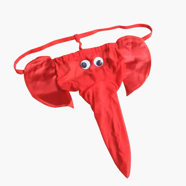 Calzoncillos sexys de elefante para hombre, Tanga transparente con parte trasera en T, ropa interior erótica gay