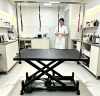 Table de toilettage électrique réglable carrée, idéale pour le toilettage et le séchage des chats et des chiens.