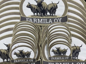 Patchs brodés personnalisés à coudre ou thermocollants pour vêtements, logo de club personnalisé, patchs à crochets et boucles DIY - Product Image 5