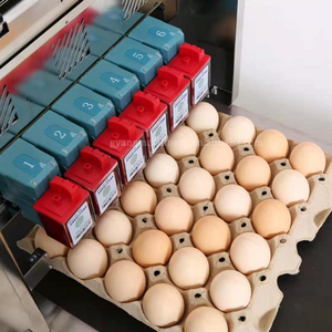Impresora de Huevos de Bajo Precio, Impresora Digital de Inyección de Tinta para Huevos de Gallina, para Imprimir Fecha de Producción, Número de Serie, Logotipos y Precio - Product Image 5