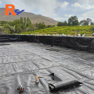 Geomembrana HDPE de 1 mm para Riego de Plantaciones de Café, Revestimientos para Presas, Precios por 1m², Revestimientos de PE para Agricultura y Acuicultura en Brasil - Product Image 2
