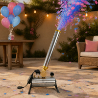 Vente en gros de poudre de confettis en aérosol Télécommande électronique Révélation du sexe Feux d'artifice extérieurs Fête de mariage Fête de remise des diplômes
