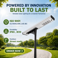 Luminaire LED solaire DC en aluminium 120W IP66 pour éclairage de voirie, zones de stationnement, parcs, villages et routes