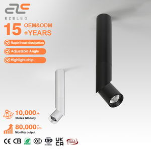 Long bras longueur Zoomable Led Cob Down Spot Light pour l'éclairage de la galerie d'art de <span class=keywords><strong>restaurant</strong></span> - Product Image 1